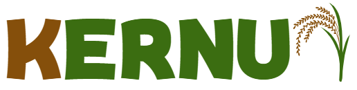 Mi tienda